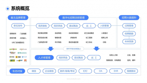 反诈防骗国家在行动：全民参与，共建安全网络环境